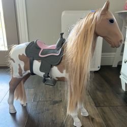 Our Generation Horse