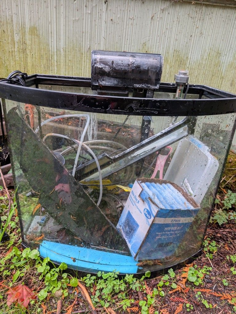 16 Gallon Fish Tank