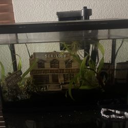 5 Gallon Fish Tank