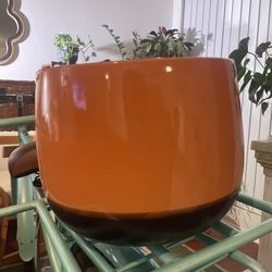Orange and Brown Plant Pot