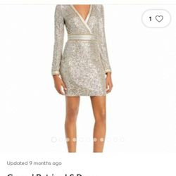 Beautiful Guess XS Silver Sequin Dress