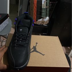 Air Jordan 12 “Dark Concord”