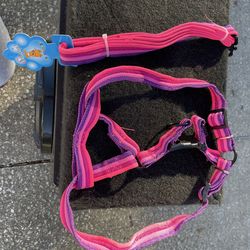 Dog leash