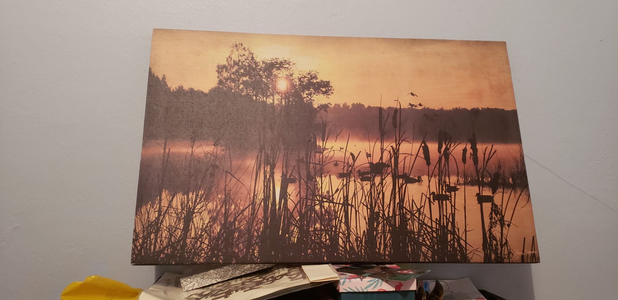 Canvas pics