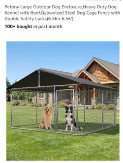 Large Outdoor Dog Kennel