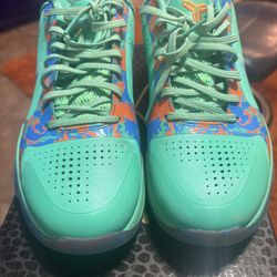 Kobe 5s Size 8