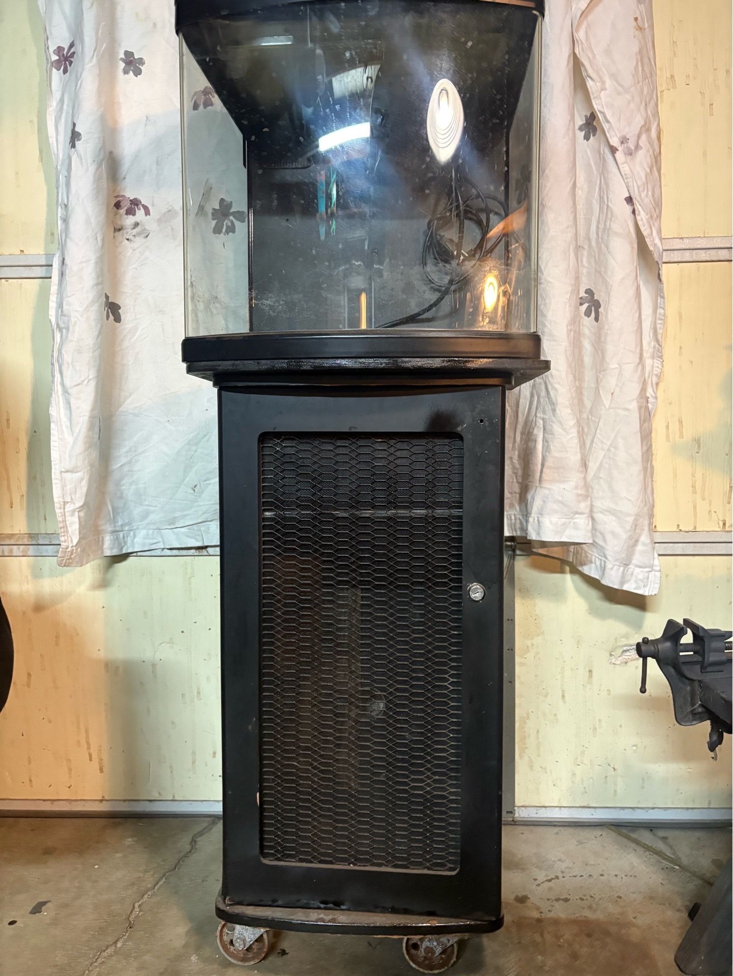 32 gal bio cube fish tank