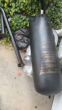 Everlast punching bag