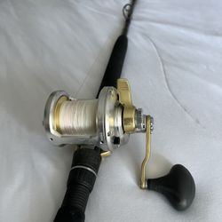 Shimano talica 16 And Mutton 7 Ft Rod