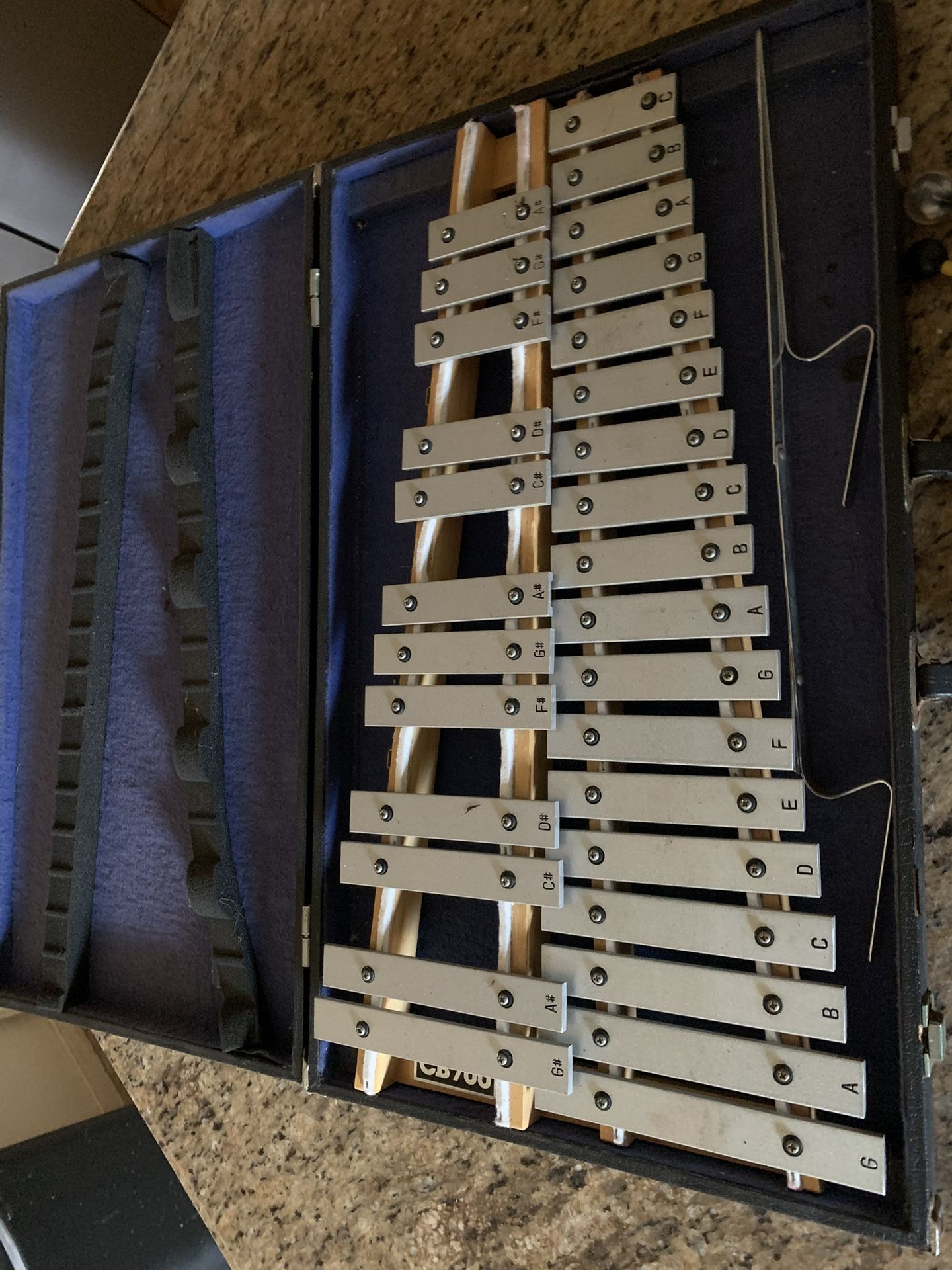 Xylophone Instrument