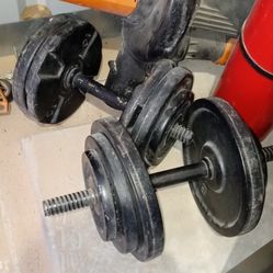Steel Dumbbells ($90)
