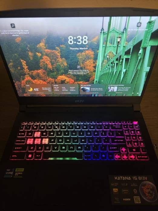 MSI Gaming Laptop