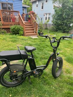 Roadrunner 2 Class 2 E-Bike