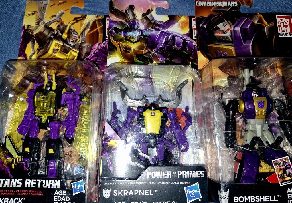 TRANSFORMERS-INSECTICONS
