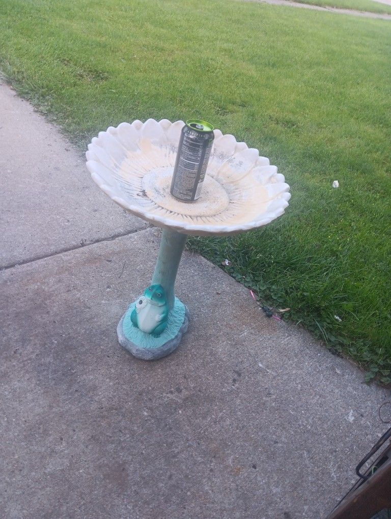 Bird Bath