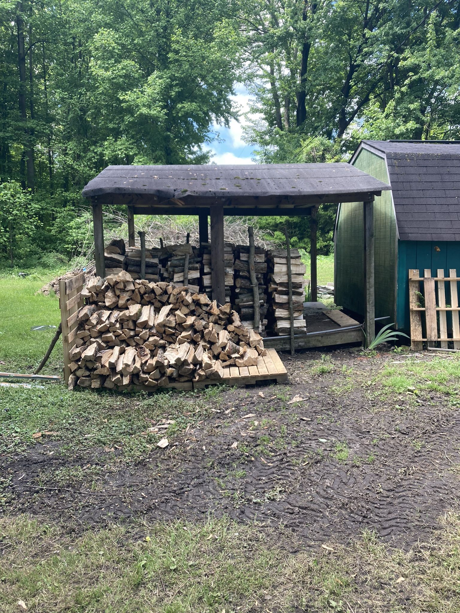 Seasoned Firewood