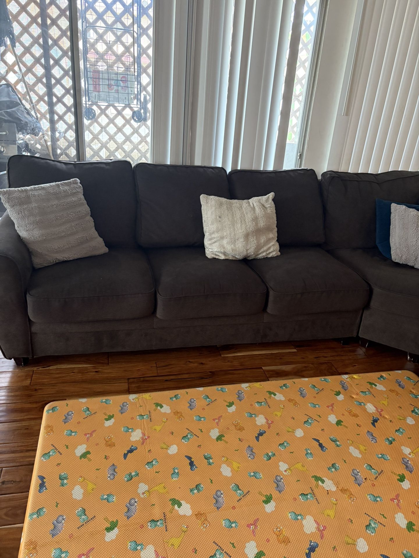 Family Couch With A Pull Out Bed