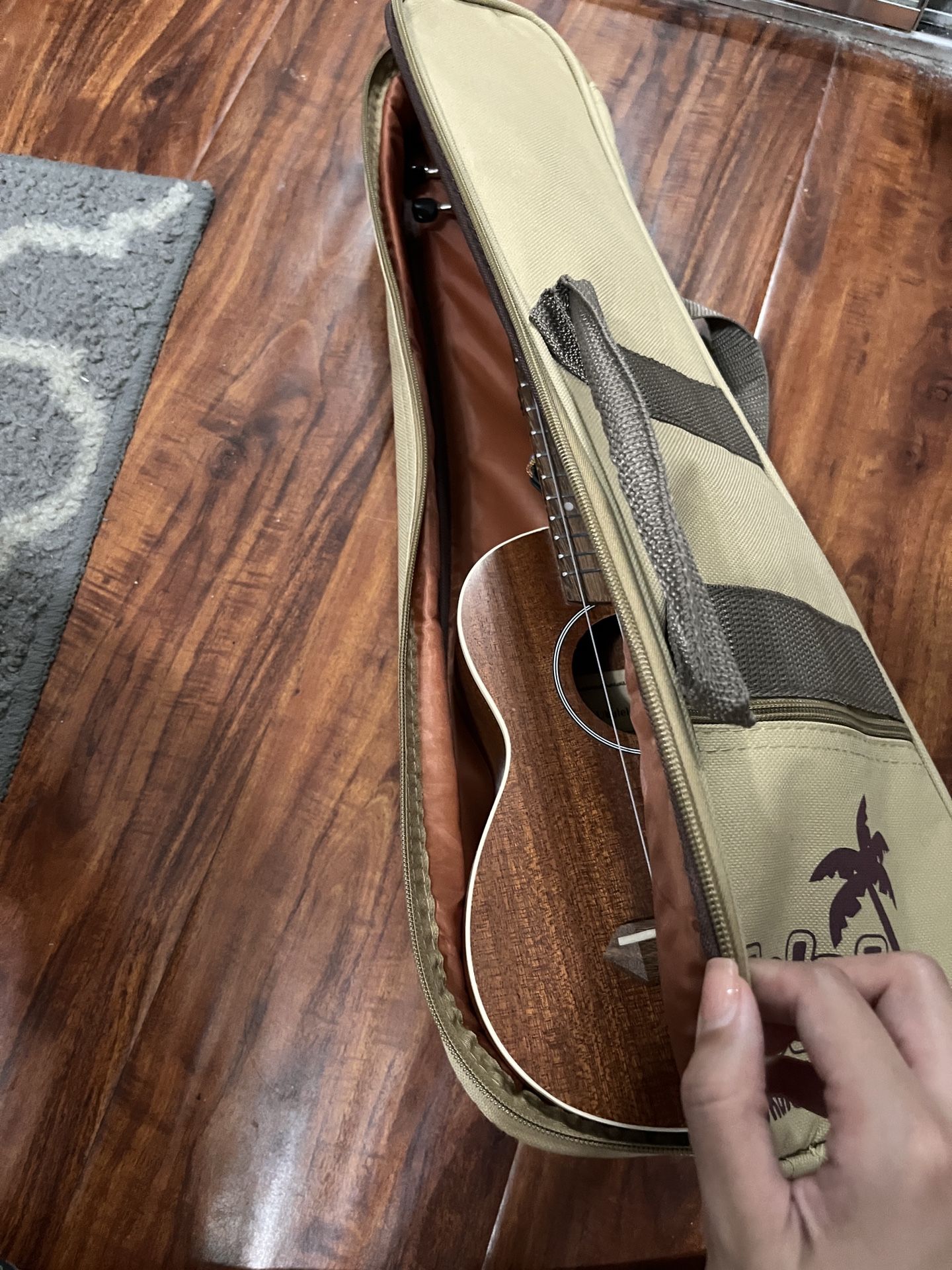Hola Ukulele