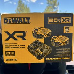 DEWALT 20V MAX Battery Starter Kit with 2 Batteries, 5.0Ah (DCB205-2CK)
