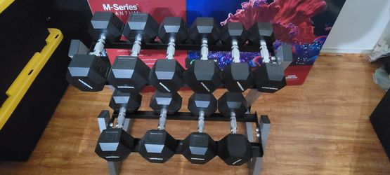 New WEIDER DUMBELL SET
