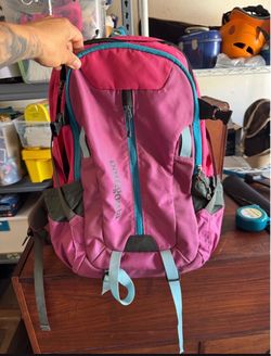 Patagonia Refugio 28L backpack