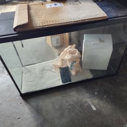 30 Gallon Fishtank 