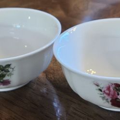 Fine Bone China Small Opened Sugar Bowl/ Allen Nelson Collection 