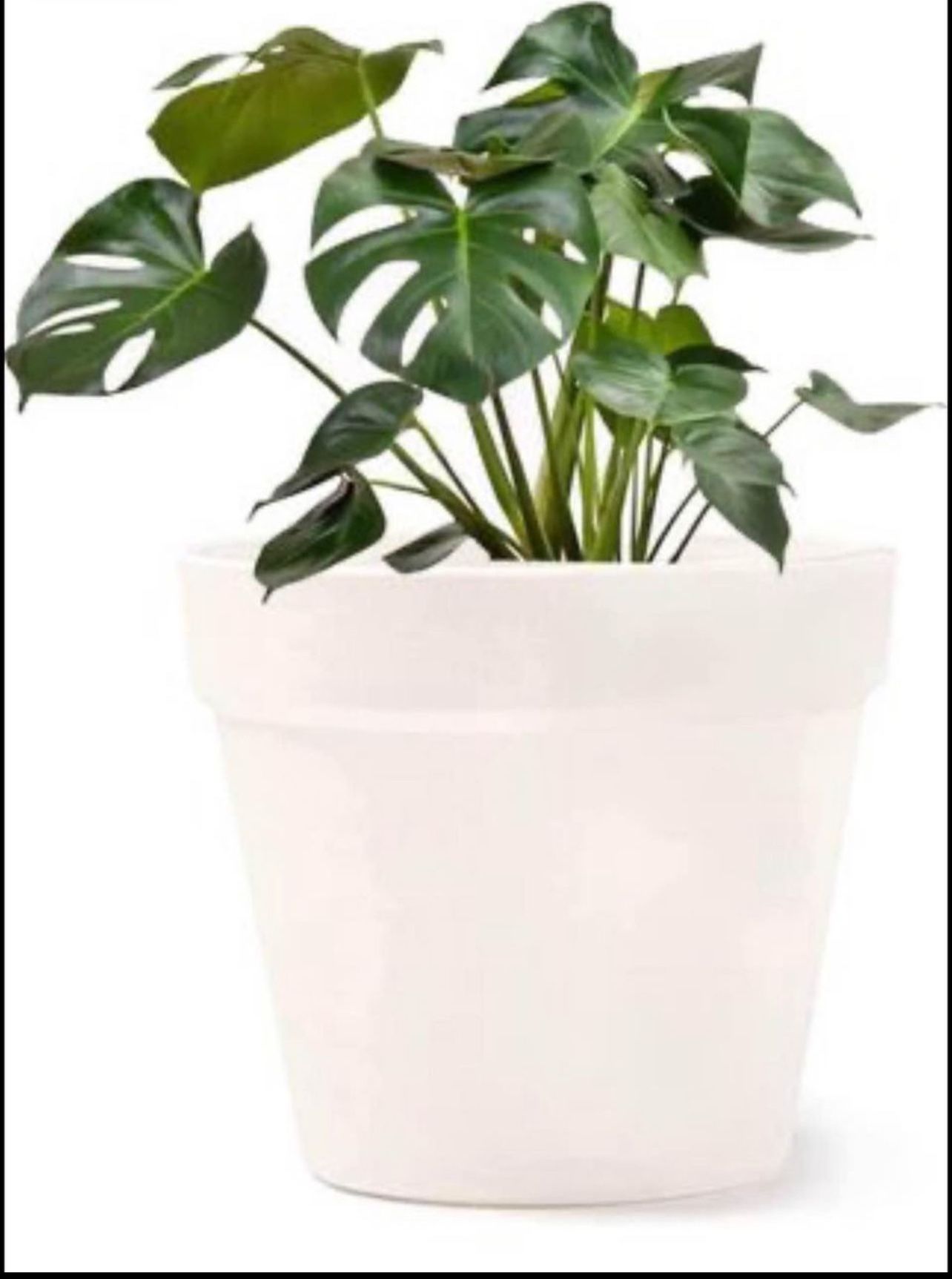 Brandnew Plant Flower Pot, 6 inch Plastic Planter, for Tabletop Plant & Hanging Planter - Pack of 6