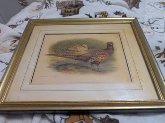 Red Grouse art prints