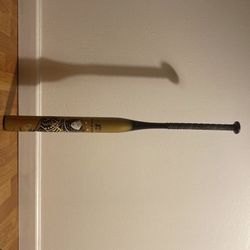 Easton Joker Bat