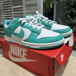 New Men’s Nike dunk Low retro Size 13