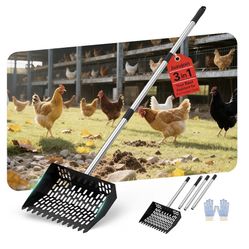 Chicken Poop Scooper for Sand