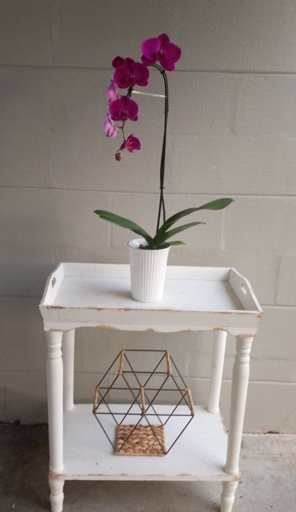 Wooden Tray Table In Antique White 