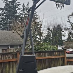 Height Adjustable Reebok Basket Ball Hoop