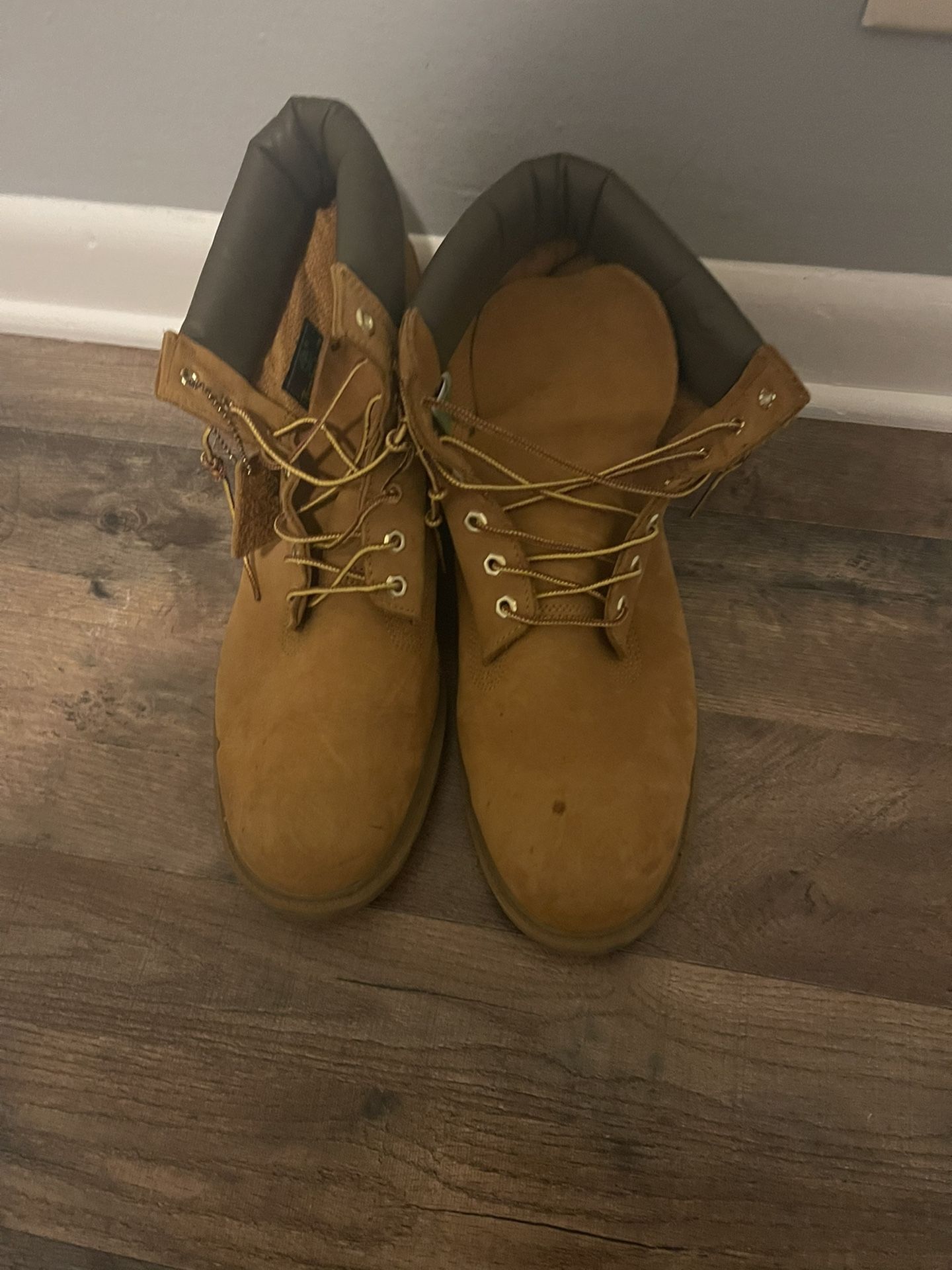 Wheat Nut Tims 