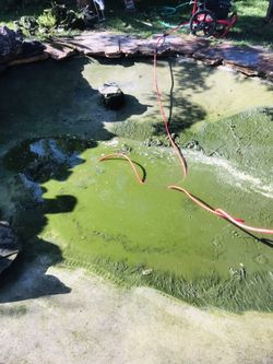 Pond stuff pressure washer and water sump pump