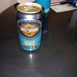 Beer Cans I Got At The Rally's