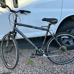 Diamondback Edgewood Hybrid 