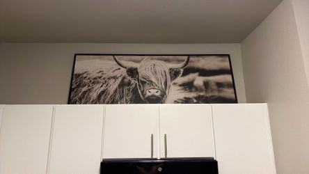 Cow frame