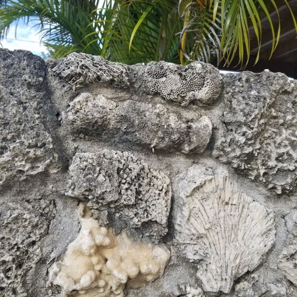 Coral Rock For Sale Miami