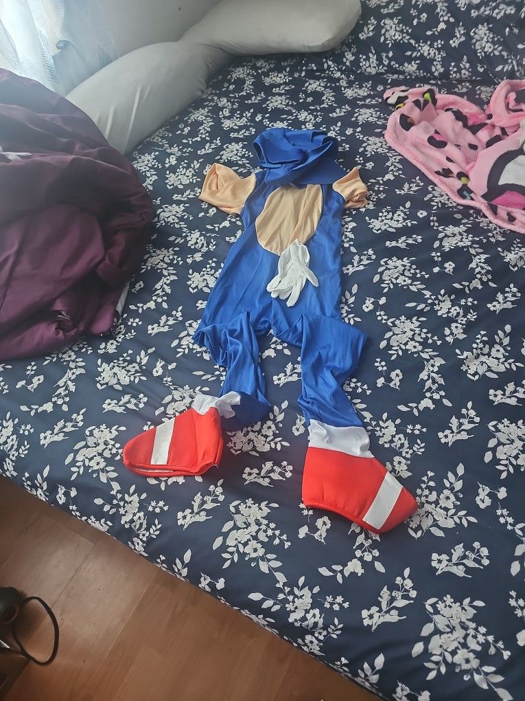 Sonic Costume