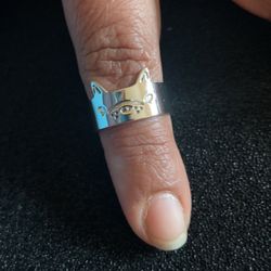 Anillo De Plata