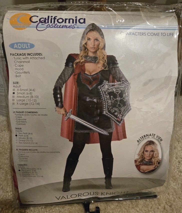 Lady KNIGHT Halloween Costume 