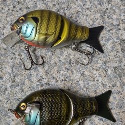 Fishing 