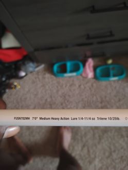 New Fishing Pole