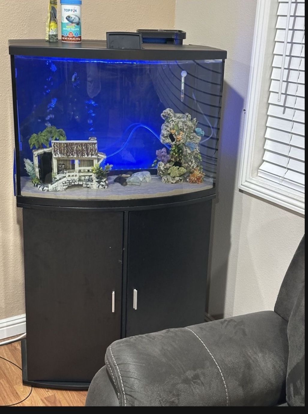 Aquarium Fish Tank