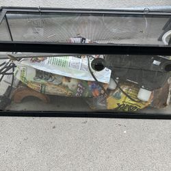 40 Gallon Reptile Tank