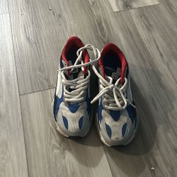 Puma Shoe