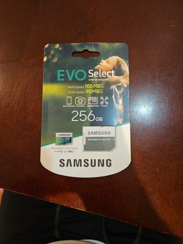 Samsung 256 GB Evo Select SD Card