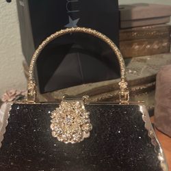 Black and Gold Purse